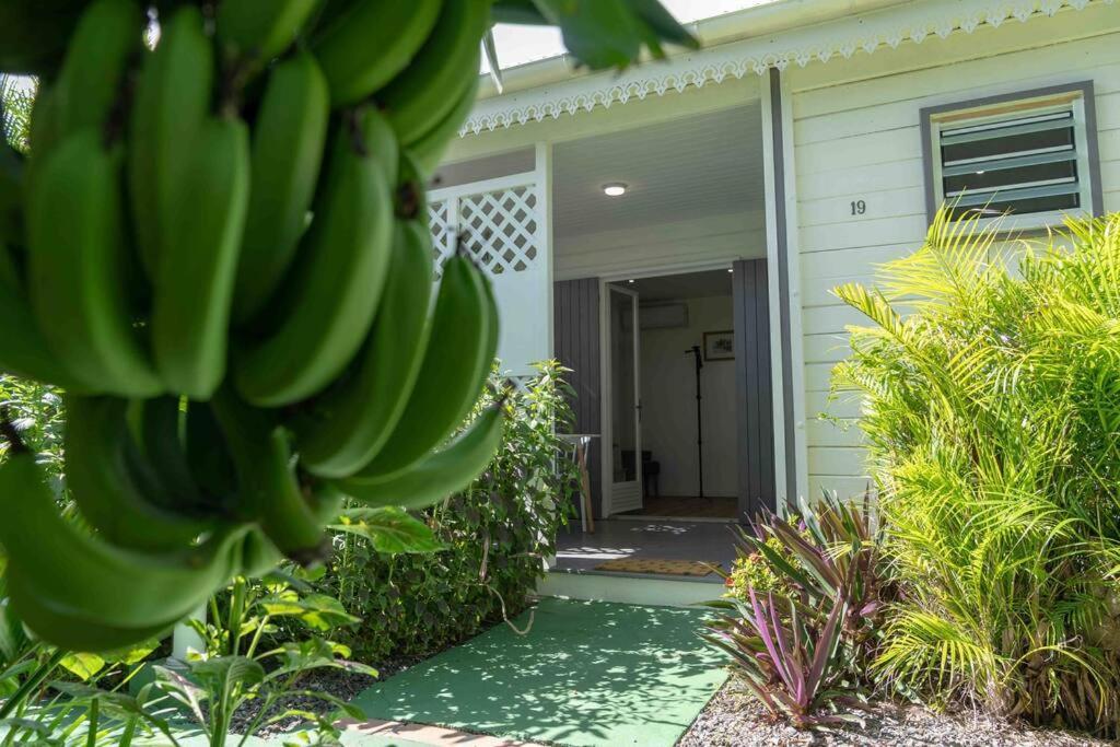 Perle Des Caraibes, Bungalow Moderne N°18 Ле-Гозьє Екстер'єр фото